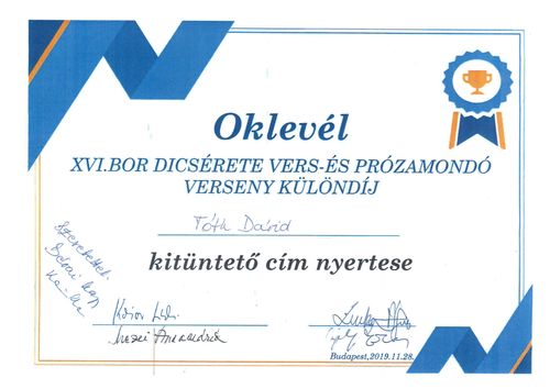A Bor Dicsérete Vers-és Prózamondó Verseny - Tóth Dávid (9. K) - a zsűri különdíja