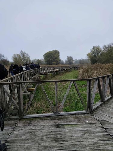 Erasmus 2025 - Horvátország