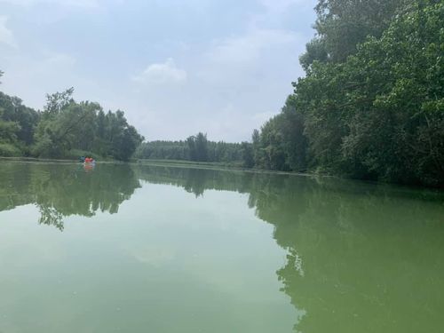 Szigetköz 2019.