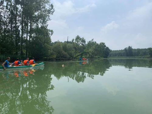 Szigetköz 2019.